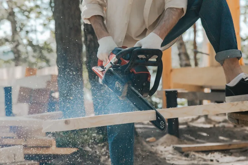 Why DIY Tree Removal in Mobile Can Cost You Far More Than You Bargained For