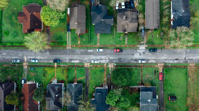 Fewer Leaves, Hotter Streets: Understanding Mobile's Shrinking Tree Canopy and How Property Owners Can Help Reverse It