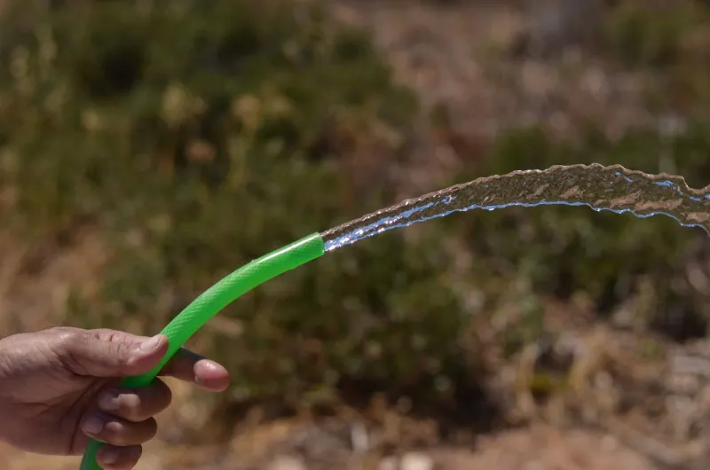 Heat, Humidity, and Thirst: Building a Summer Watering Plan That Actually Keeps Mobile Trees Alive
